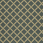 Morris Co, Morris co V, DMOWGI102