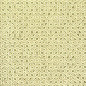 Morris Co, Morris co V, DMOWHO102