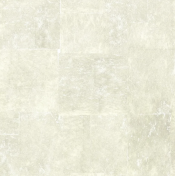 Французские обои Elitis, коллекция Soleil Levant, артикул TP29301