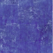 Французские обои Elitis, коллекция Soleil Levant, артикул TP29303