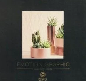Обои A.S.CREATION Emotion Graphic: стильные решения для вашего интерьера