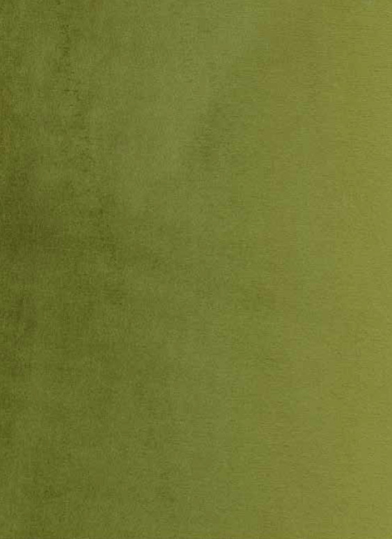 Обои Foldecor, коллекция Sample Catalogue, артикул 05/Olive