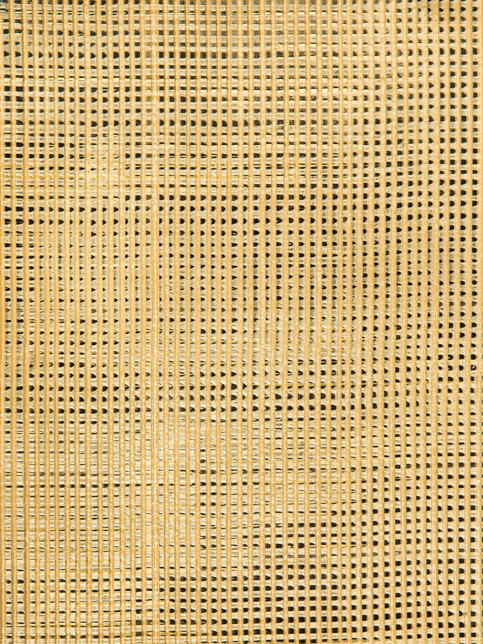 Английские обои Holland & Sherry, коллекция Archetype Collection, артикул DEWP2094/Kastave Black Gold