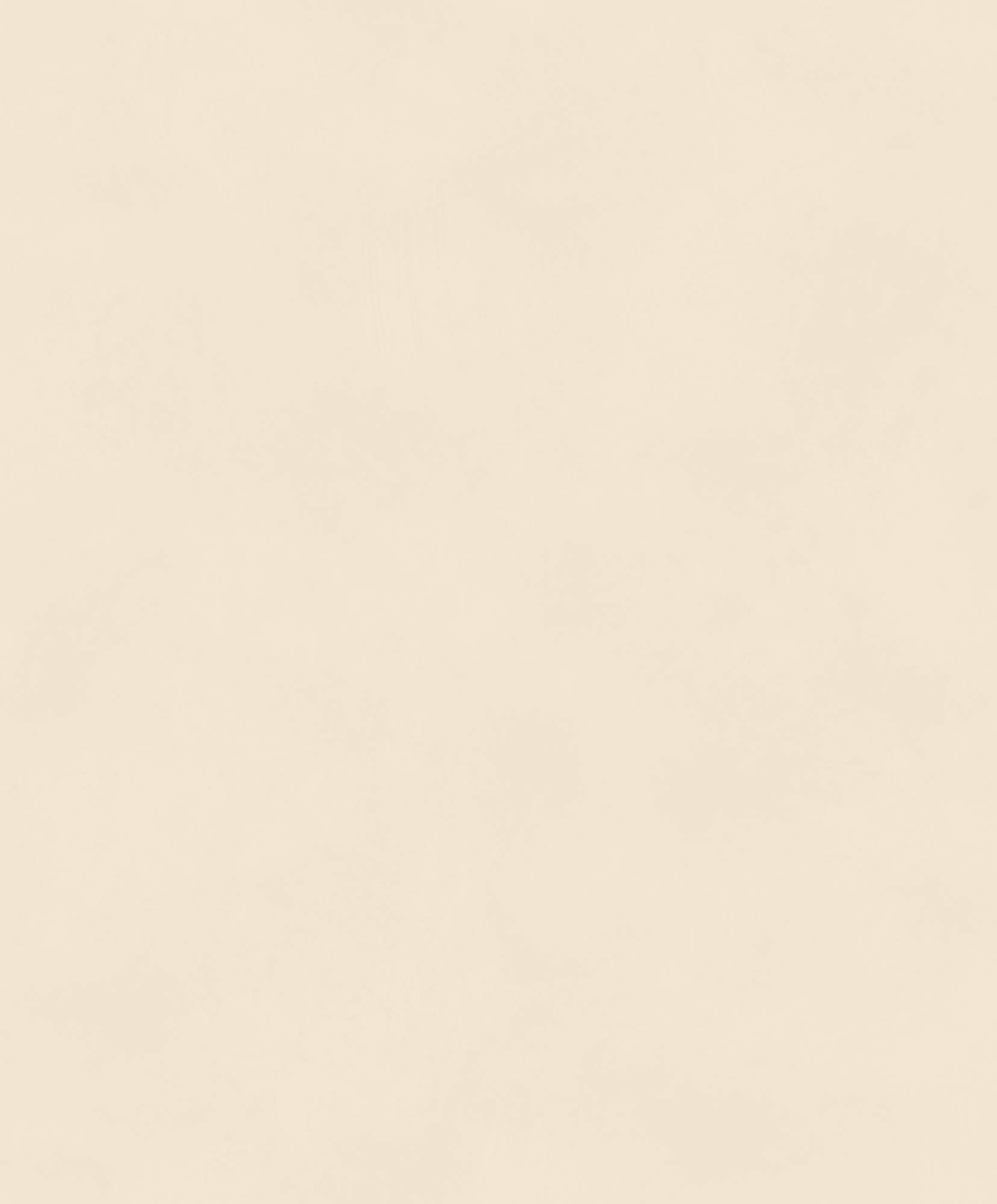 Обои KHROMA Colorythm BLONE1005
