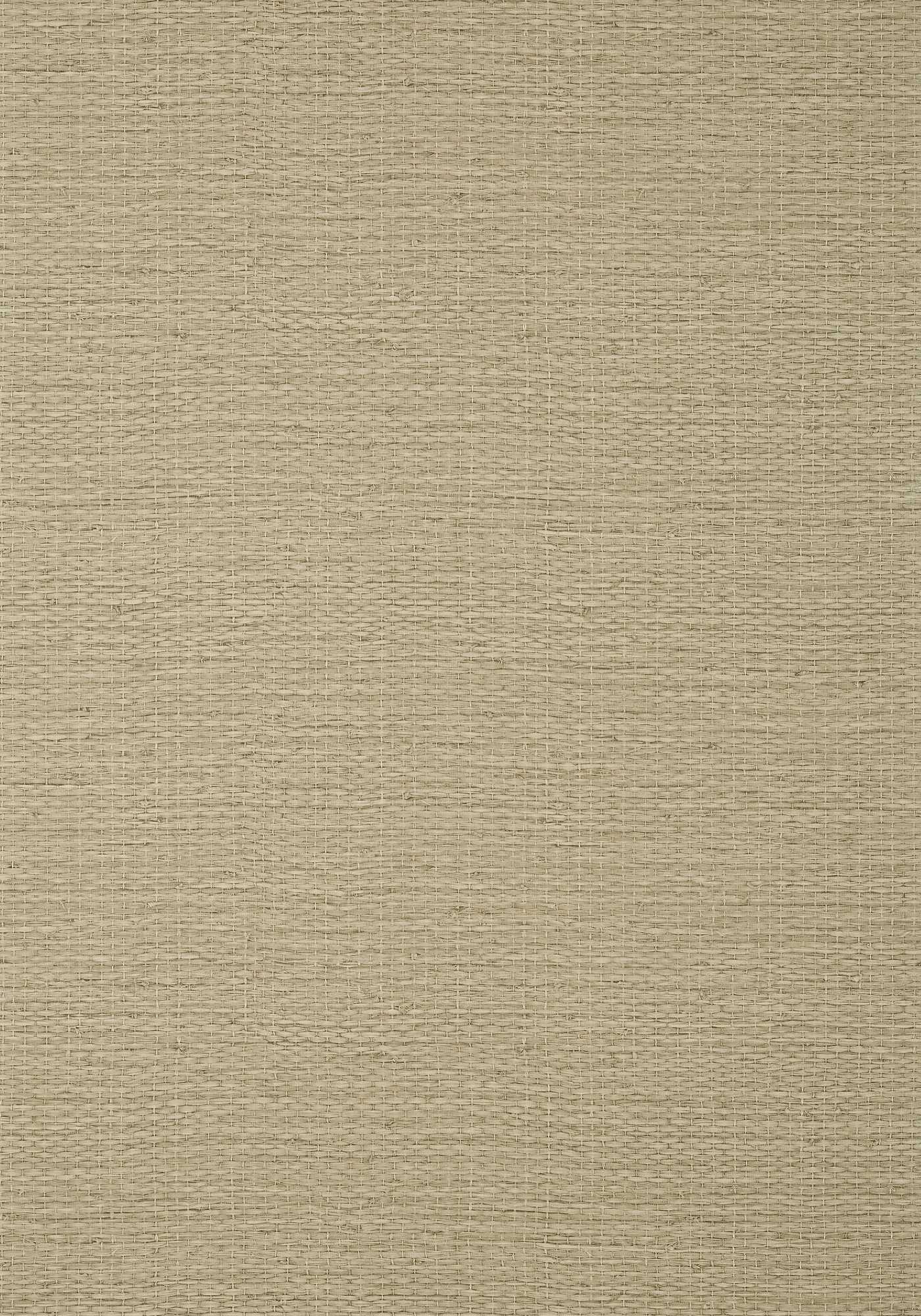 Textures collection. Thibaut, коллекция texture resource 7, артикул tww10975. Каталог текстур.