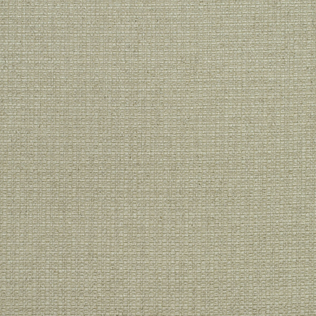 Английская ткань Andrew Martin, коллекция Woodland, артикул Birch/Stone Английская ткань Andrew Martin, коллекция Woodland, артикул Birch/Stone