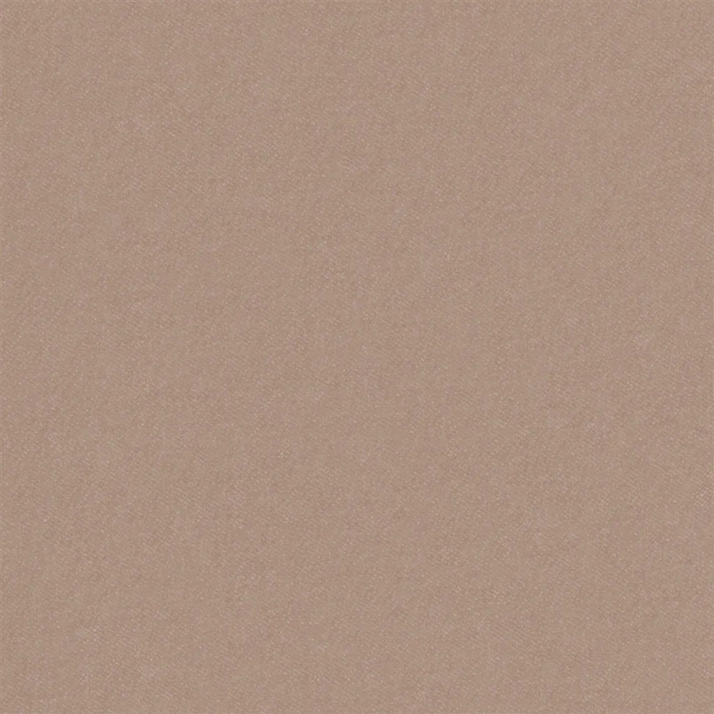 Английская ткань Designers Guild, коллекция Brinzio, артикул FDG3231/06 Английская ткань Designers Guild, коллекция Brinzio, артикул FDG3231/06